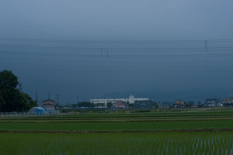 a0278914_5283987.jpg