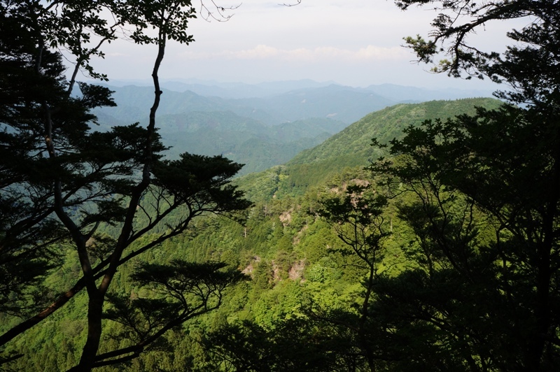 平山明神山編　ナイフリッジの絶景を求めて　その７_e0292414_13351394.jpg