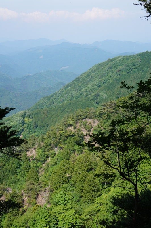 平山明神山編　ナイフリッジの絶景を求めて　その７_e0292414_13351731.jpg