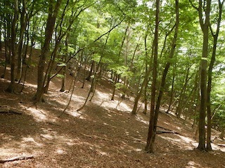 c0359615_20122737.jpg