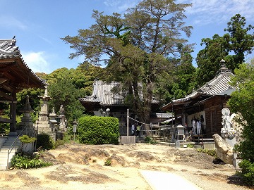 3巡目（逆打ち/2015/05/24）：十六番観音寺、十五番国分寺、十四番常楽寺、十三番大日寺_a0054016_13534874.jpg