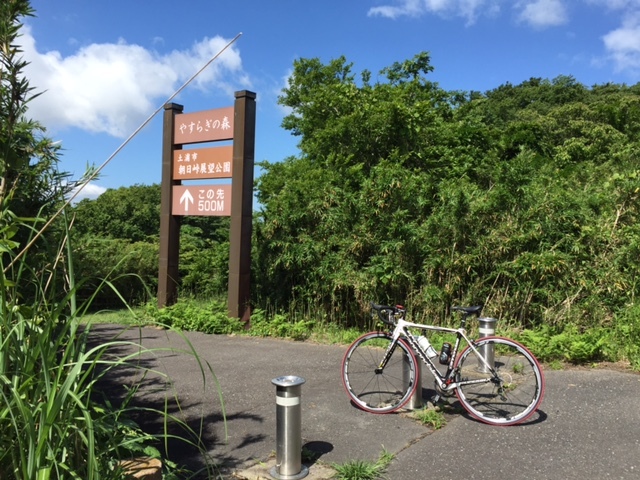 筑波ゆるぽた　フルーツラインにきのこ山_e0341417_20034039.jpg