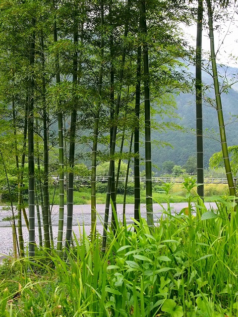 a0087818_10521065.jpg