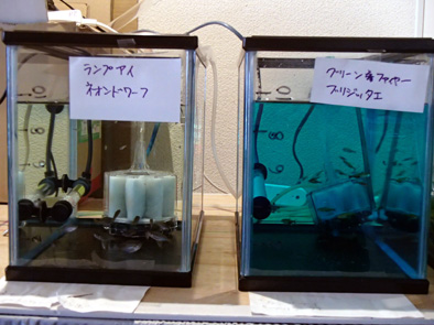 活性炭はやっぱり効く Neo Aqua Art