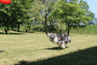 b0192121_1847527.gif