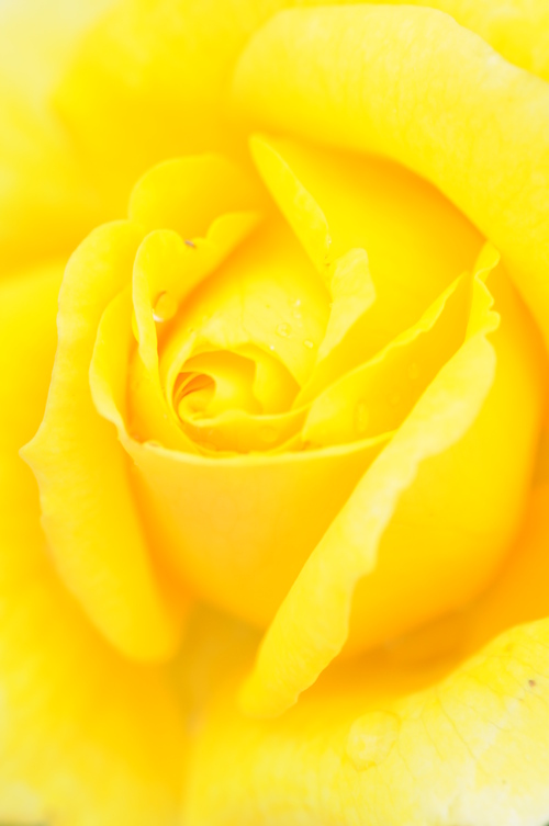 a0248728_20565187.jpg