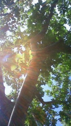 b0279129_18171113.jpg