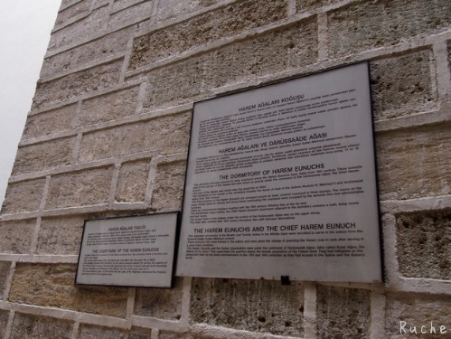 c0103830_1671282.jpg