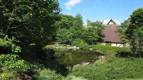 e0202031_21344331.jpg