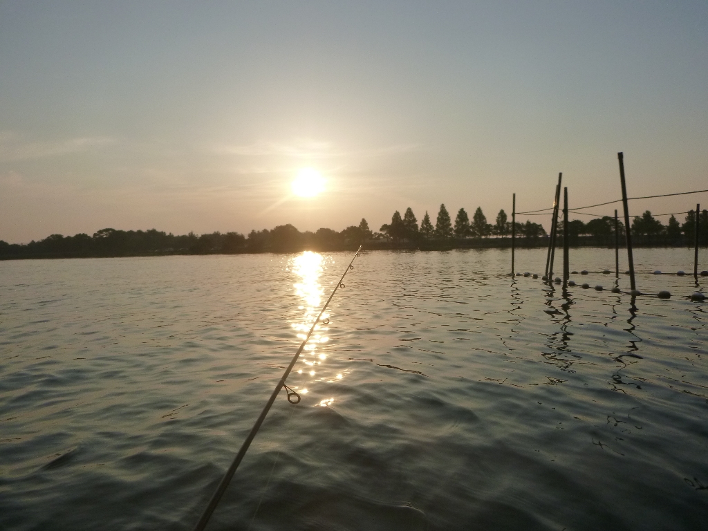 c0113733_2383139.jpg