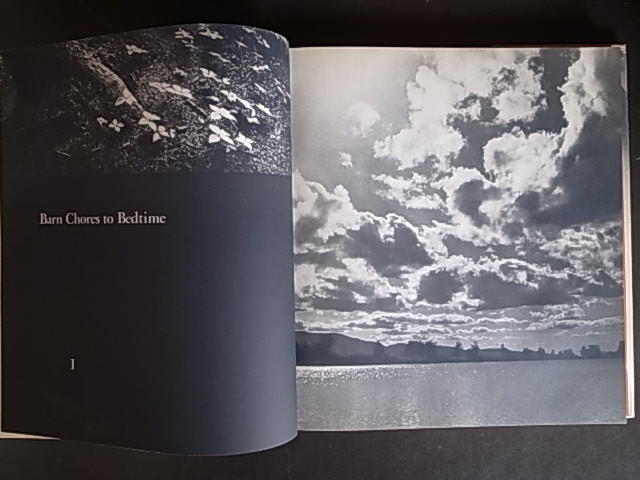 SUMMER'S CHILDREN / Barbara Morgan : Books & Things