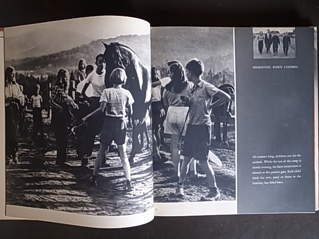 SUMMER'S CHILDREN / Barbara Morgan : Books & Things