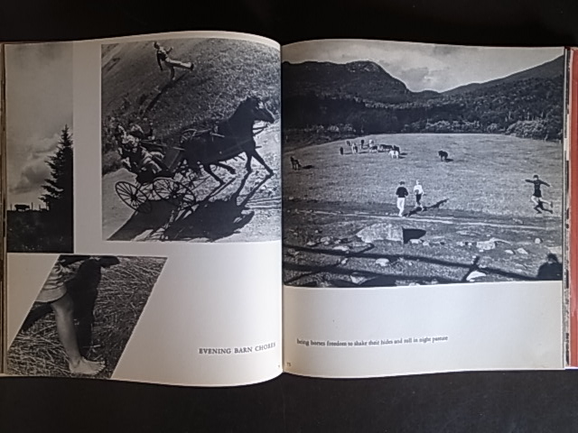 SUMMER'S CHILDREN / Barbara Morgan : Books & Things