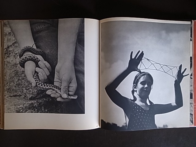 summer's children バーバラ・モーガン 写真集 summer's children バーバラ・モーガン 写真集