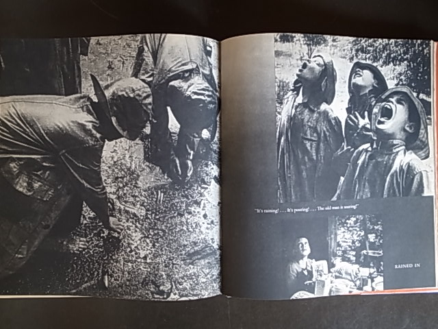 SUMMER'S CHILDREN / Barbara Morgan : Books & Things