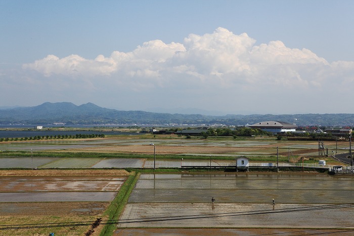 a0294534_2081993.jpg
