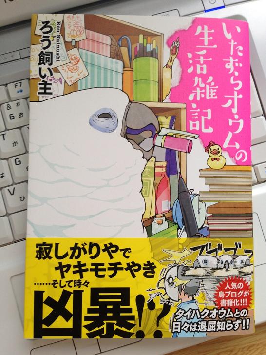 いたずらオウムの生活雑記 備忘録