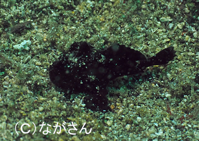 b0163039_1632511.jpg