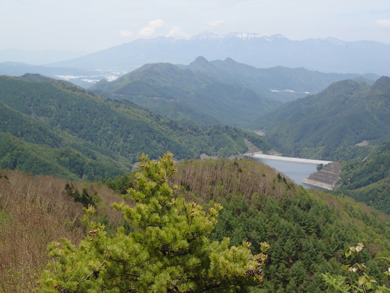 b0190242_14331036.jpg