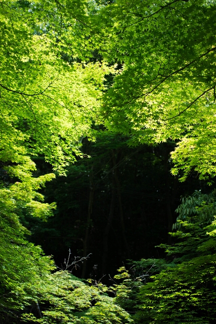 f0158043_21585222.jpg