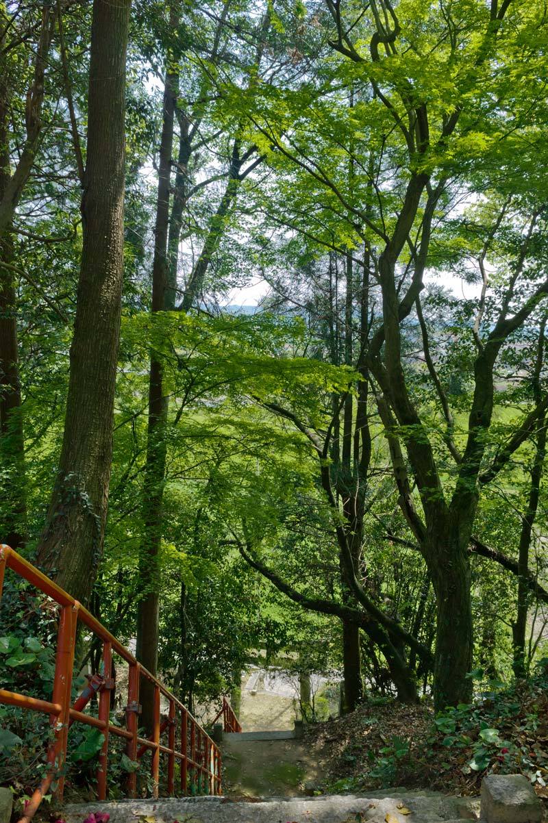 五社神社　福岡県朝倉郡筑前町赤阪_b0023047_04510107.jpg