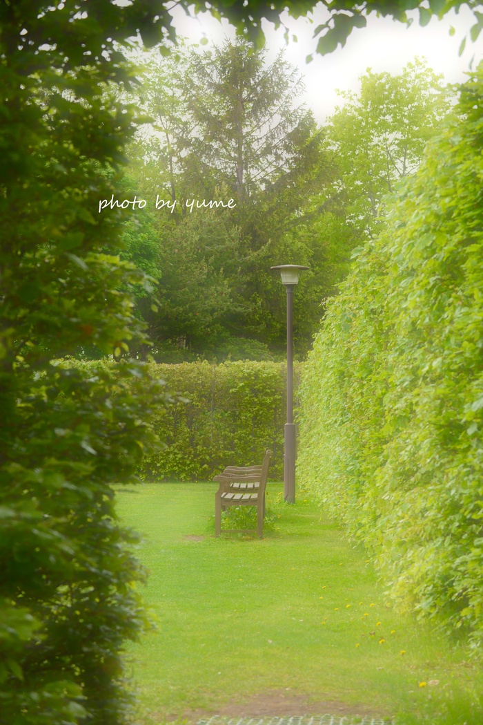 Beautiful time_a0322950_22141291.jpg