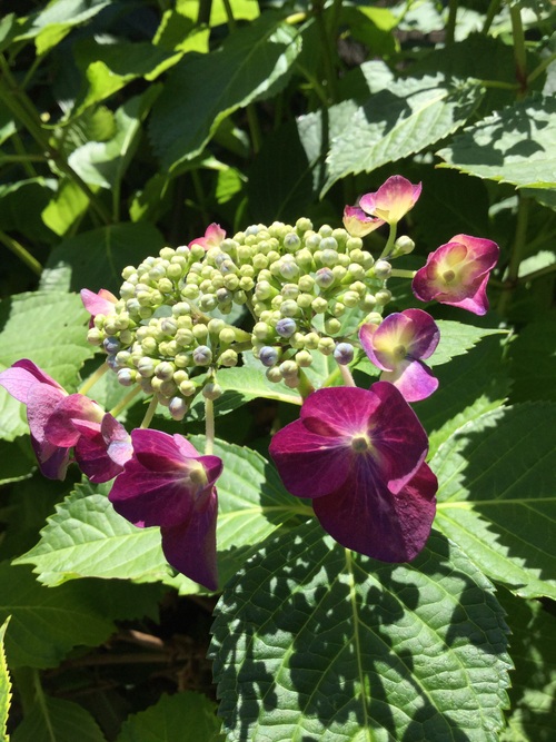 c0369353_021149.jpg