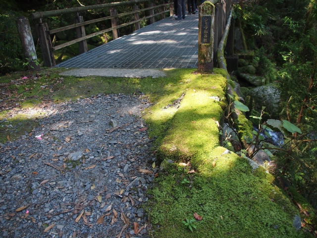 屋久島へ行って来ました　第2弾　（5月22日/午前編）_b0124456_710566.jpg