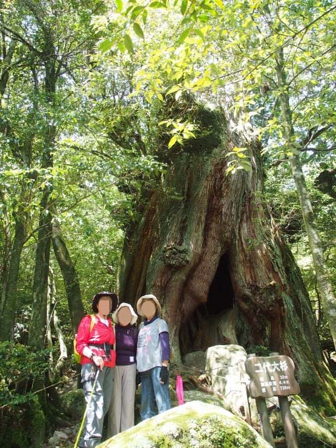 屋久島へ行って来ました　第2弾　（5月22日/午前編）_b0124456_7253380.jpg