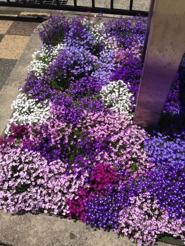 c0185356_18435580.jpg