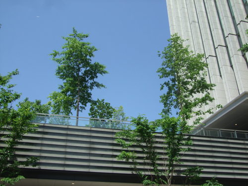 c0111557_2257125.jpg