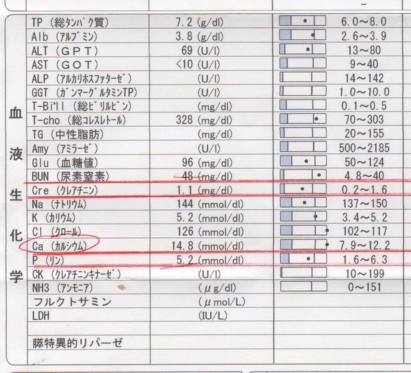 お洗濯のちお洗濯の日_e0256058_2111967.jpg