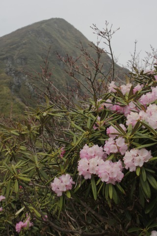 a0248459_19150996.jpg