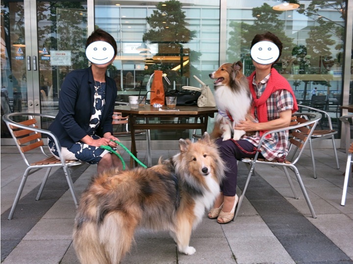 「お仕事だよ」って言ったんだ！_c0260460_18033680.jpg