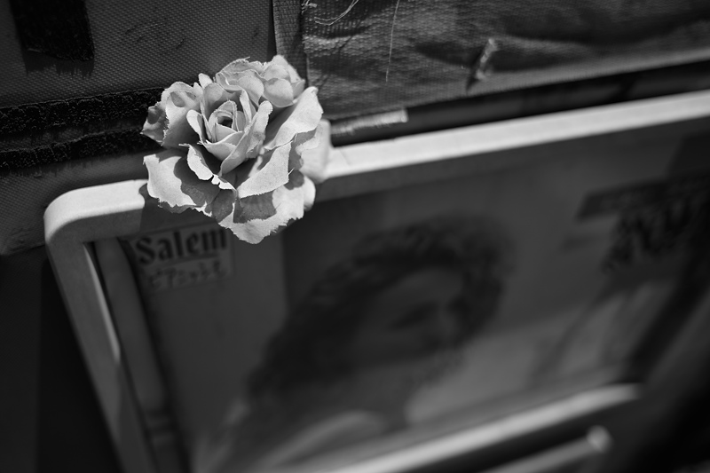 浅草の花_f0079061_1922266.jpg