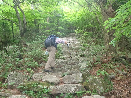 d0032262_14225520.jpg