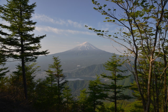 新道峠から十二ヶ岳_a0307264_14505920.jpg