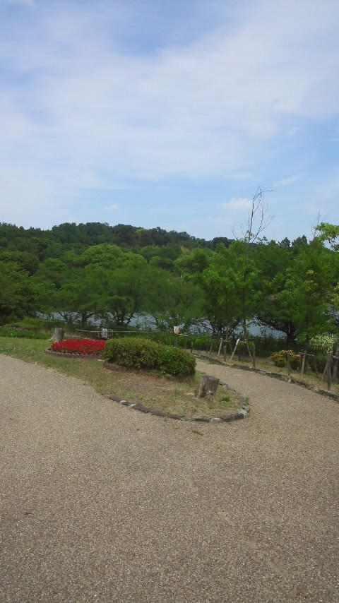 続_f0200871_14205269.jpg