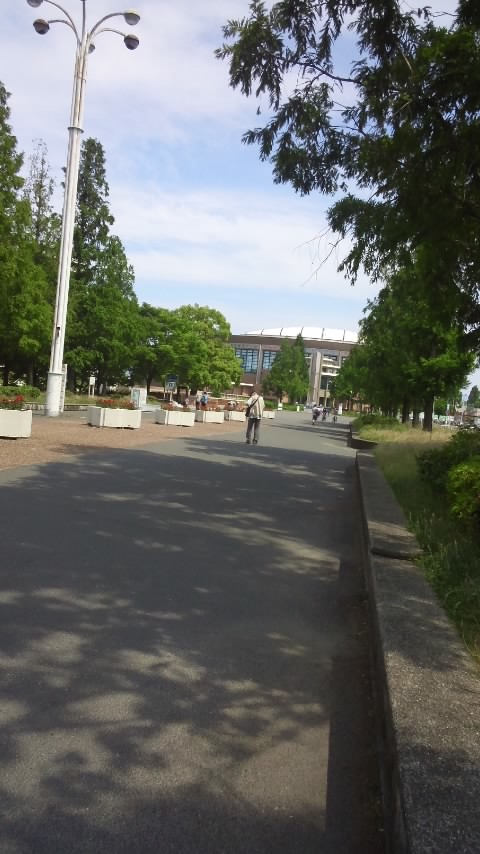 f0200871_1556174.jpg