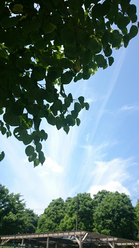 c0345972_05092472.jpg