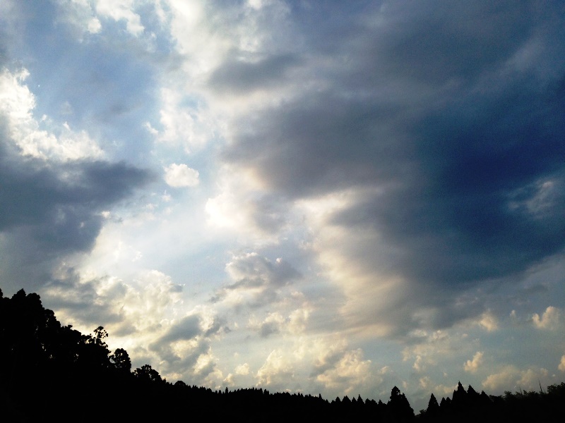 a0261573_17145734.jpg