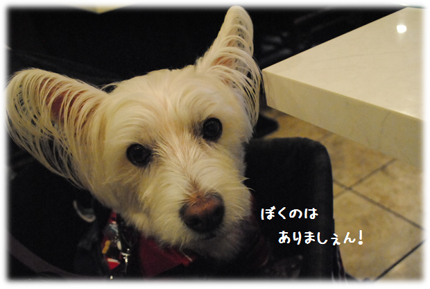 b0242873_09381767.png