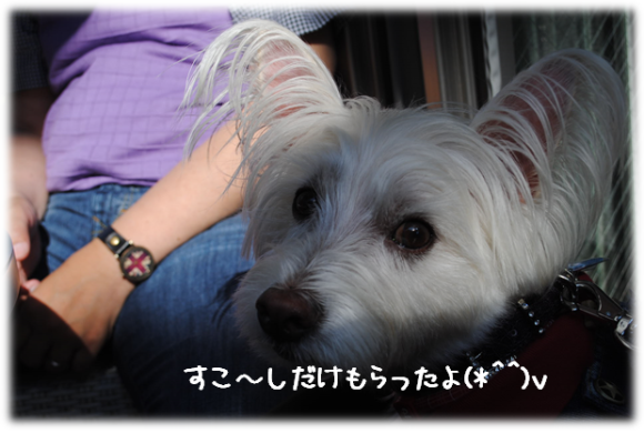 b0242873_10102818.png