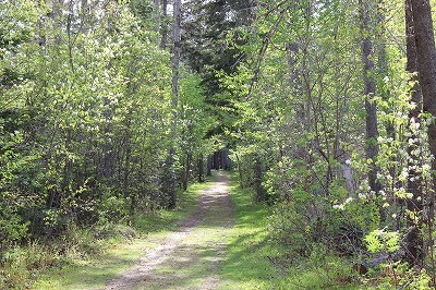 c0353373_22515112.jpg