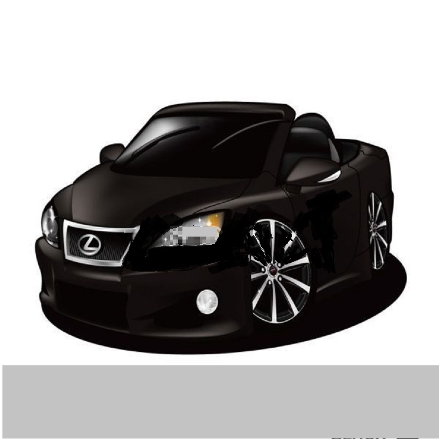 LEXUS IS350C_f0307274_10374163.jpg