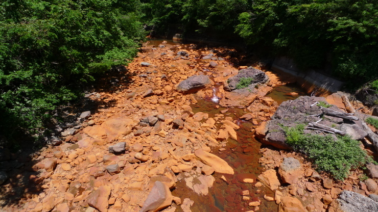 c0212083_20255184.jpg