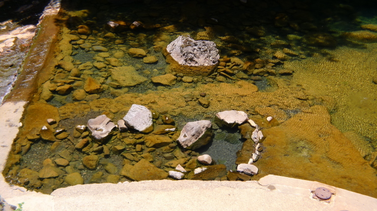 c0212083_20255889.jpg