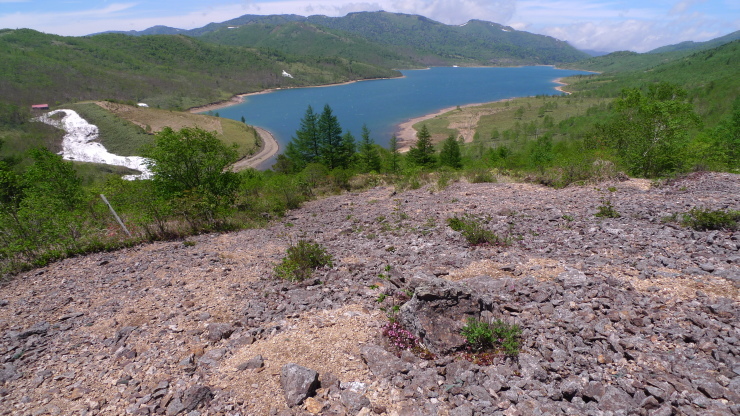 c0212083_20262967.jpg