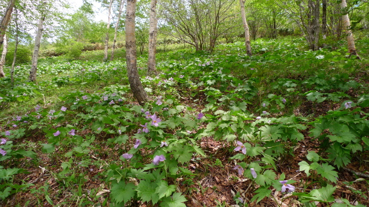 c0212083_20265186.jpg