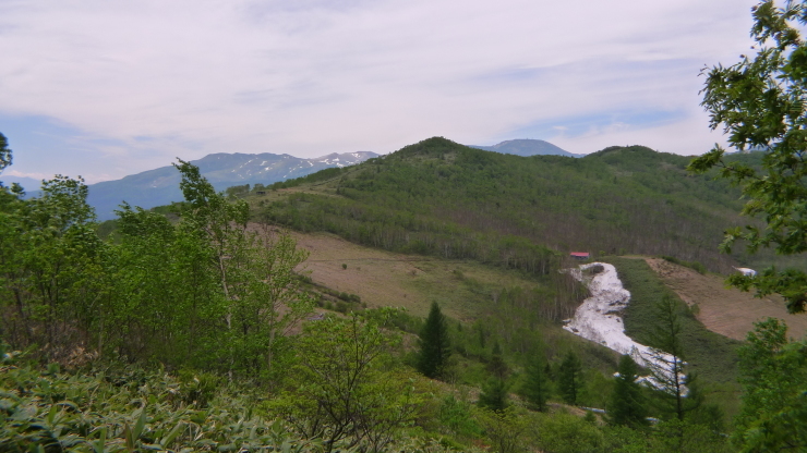 c0212083_20272270.jpg